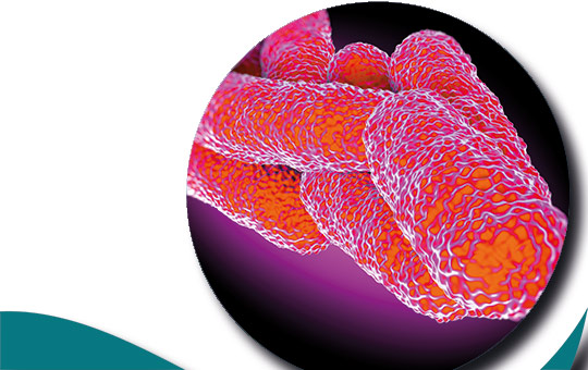 Legionella
